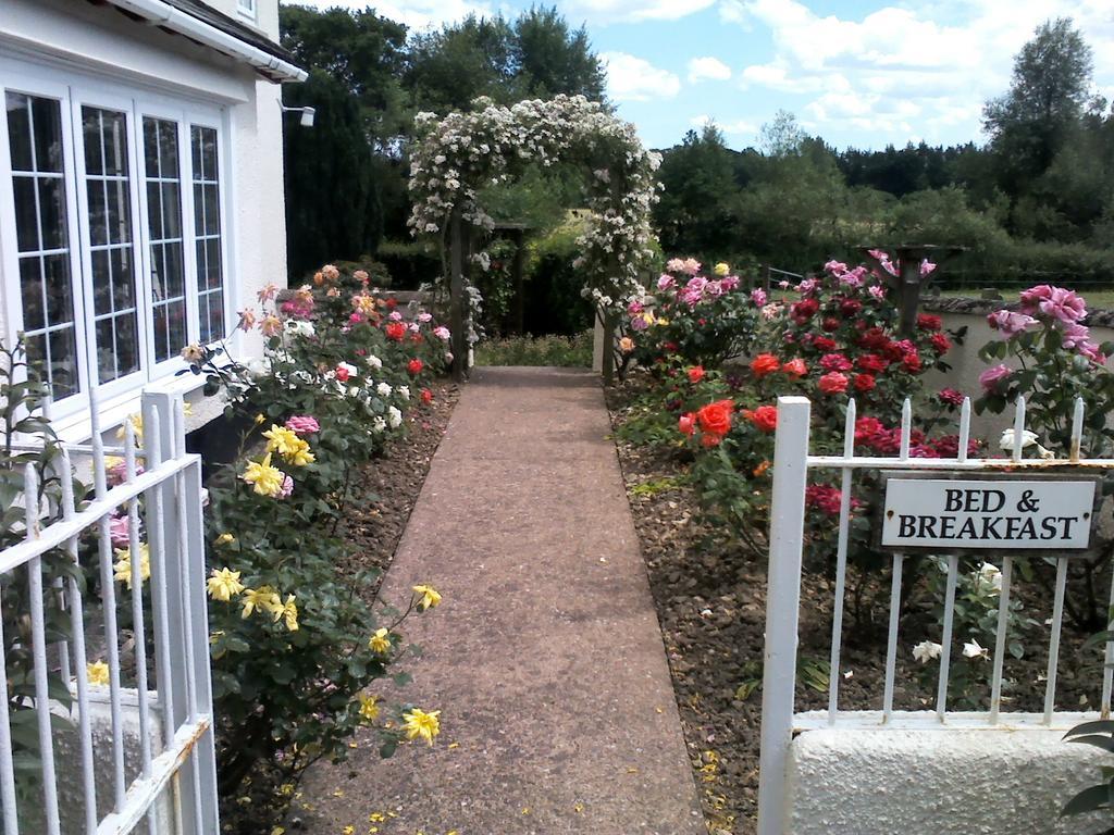 Bed and Breakfast Weir Mill Farm à Cullompton Extérieur photo